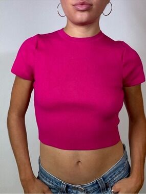 Zara Fine Knit Crewneck Stretch Fuchsia Short Sleeve Cropped Top 3519/025